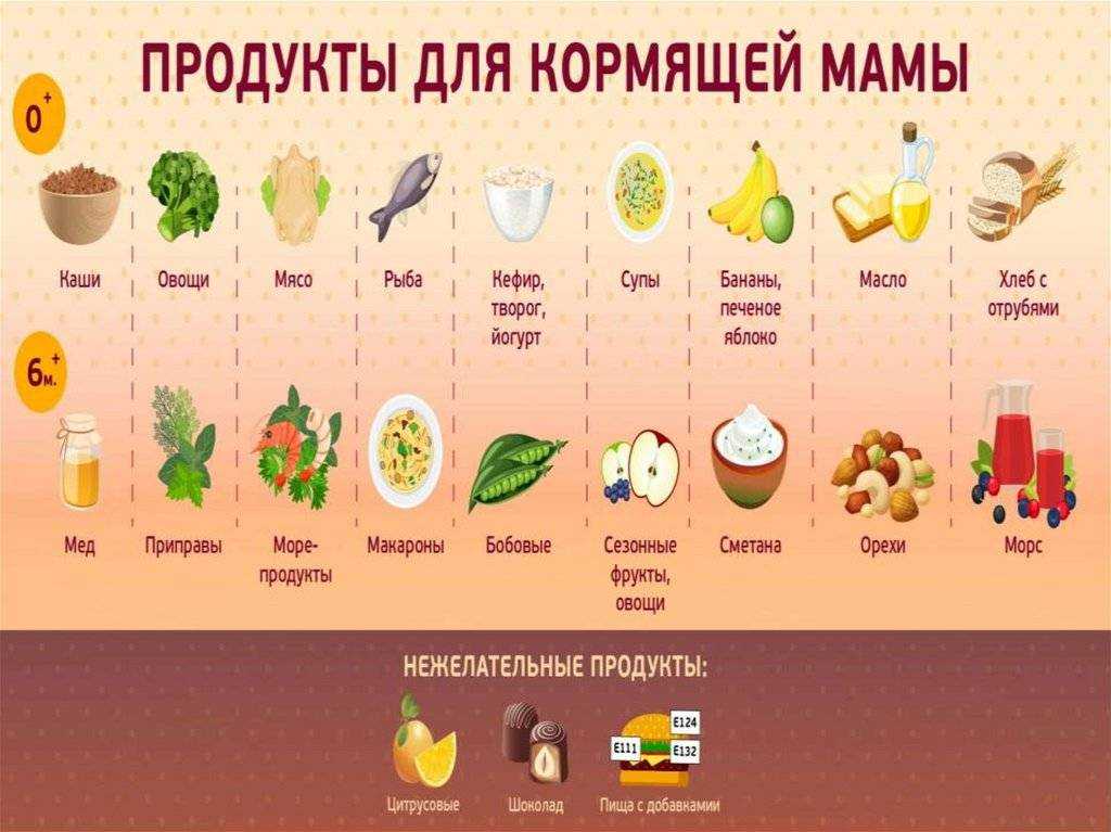 Салат руккола: польза и вред для женщин и мужчин, лечебные свойства, рецепты приготовления