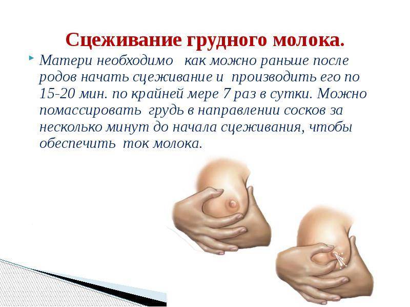 Как сцеживать грудное молоко вручную: 9 шагов