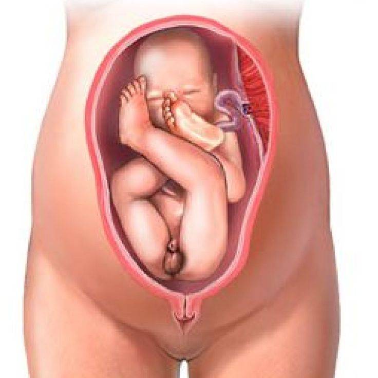 23 неделя беременности рост и развитие малыша