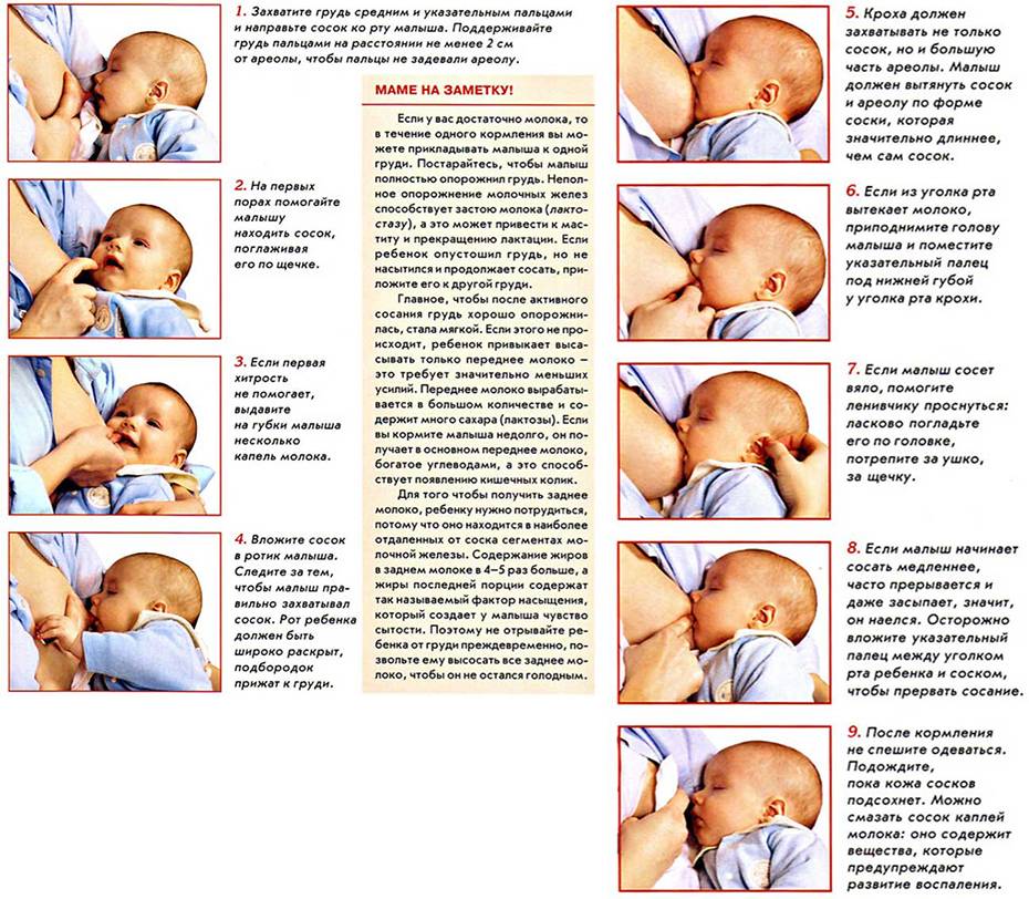 Как правильно кормить новорожденного ребенка: рекомендации для мамочек
