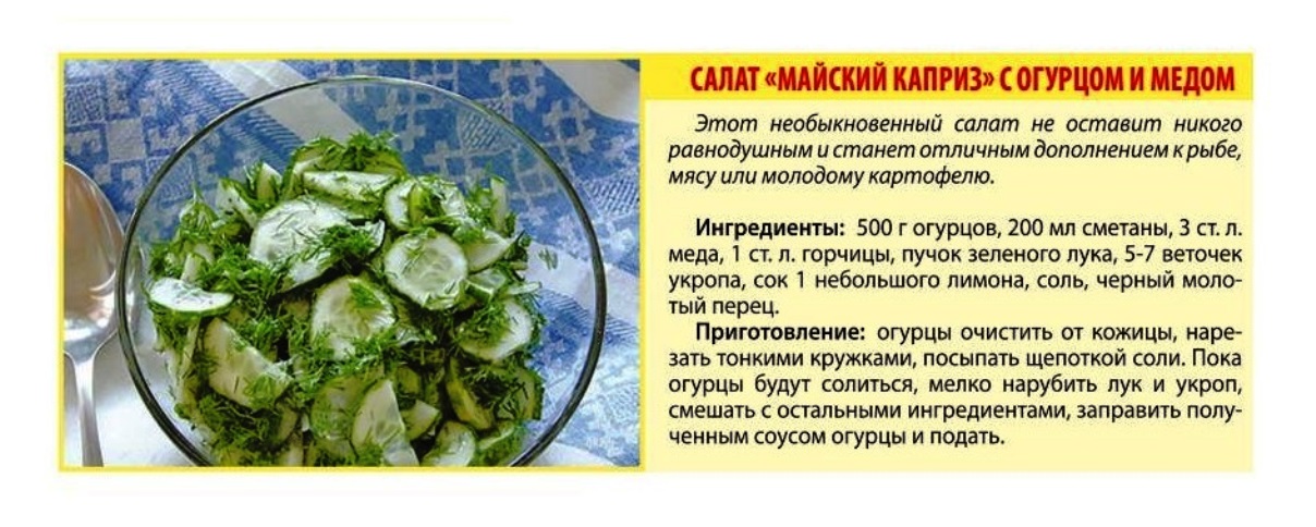 Какие огурцы можно кормящей маме?