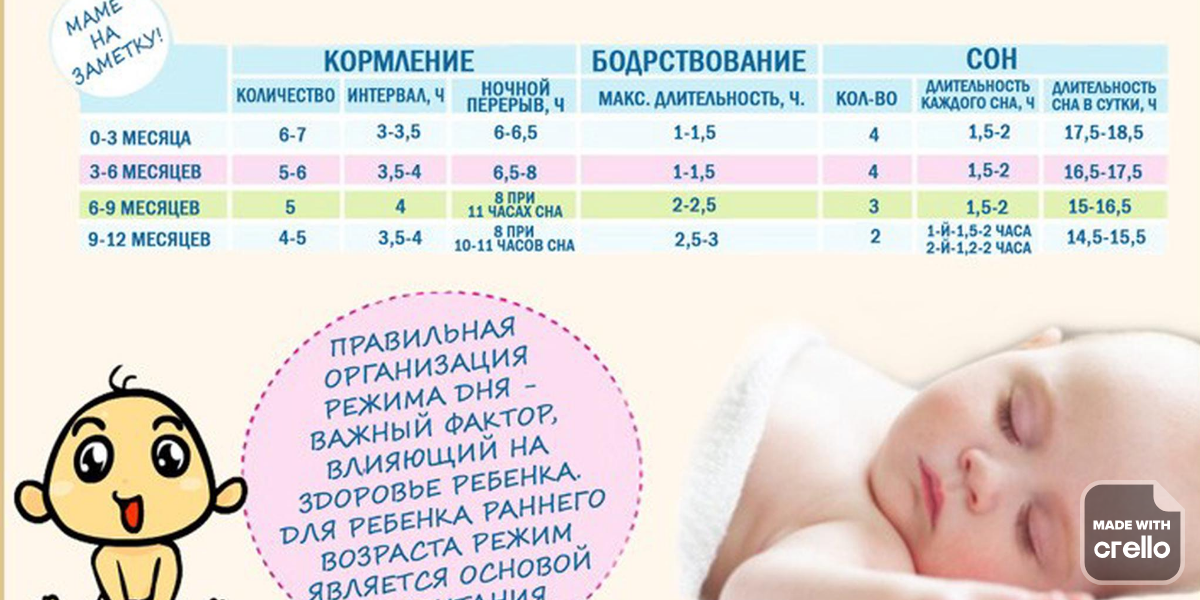 Режим дня ребенка в 6 месяцев: питание, график сна и бодрствования