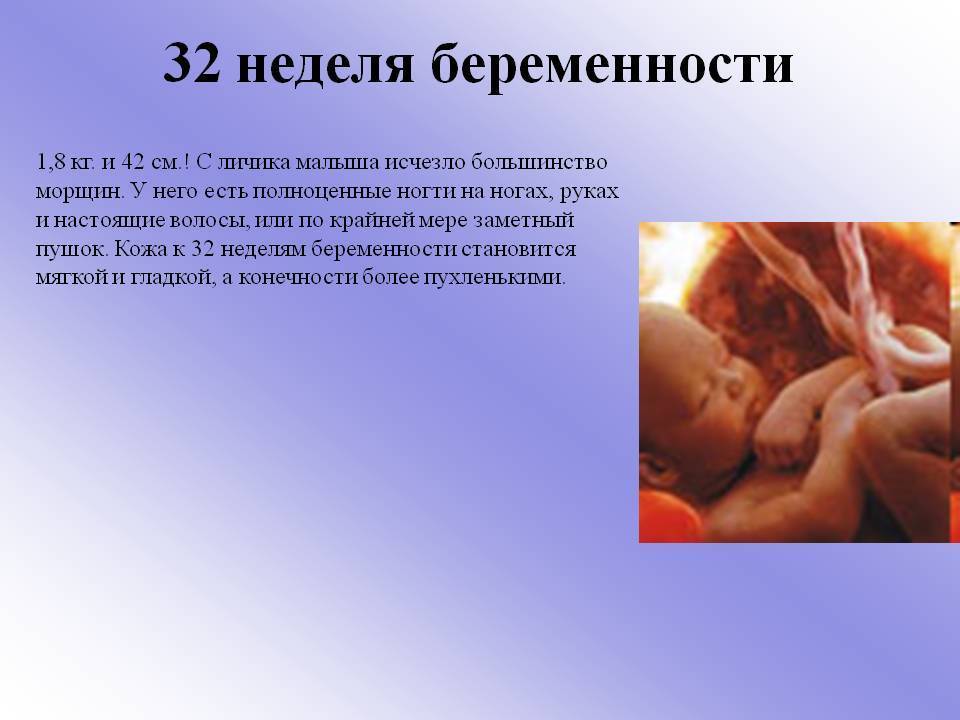 32 неделя беременности / календарь беременности