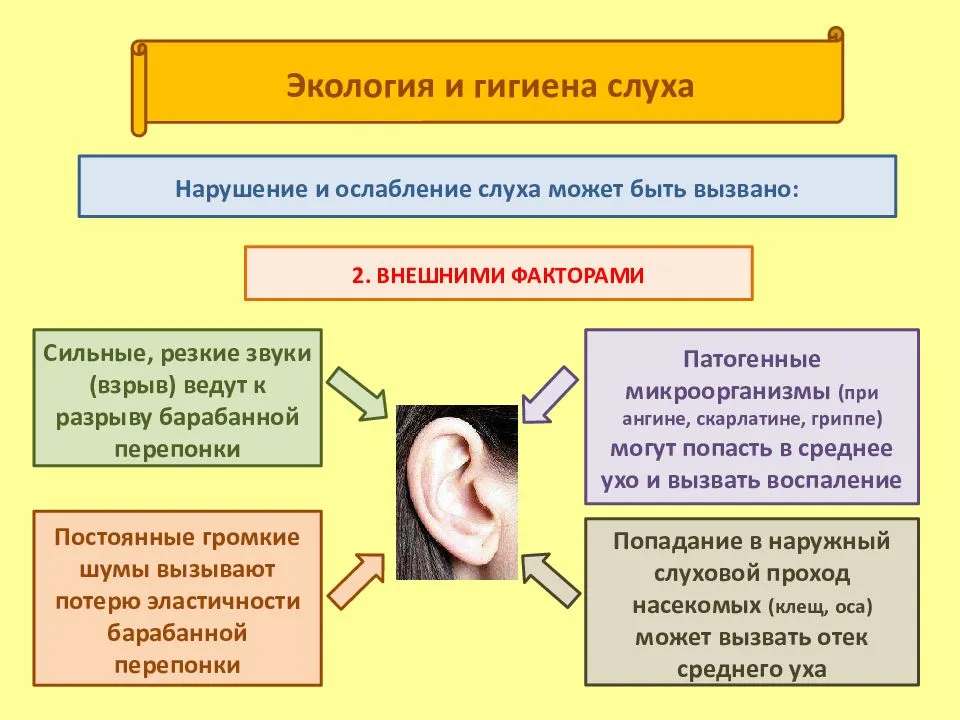 Причины слуховых нарушений. Нарушение органа слуха. Факторы влияющие на слух. Причины нарушения слуха. Факторы снижения слуха.