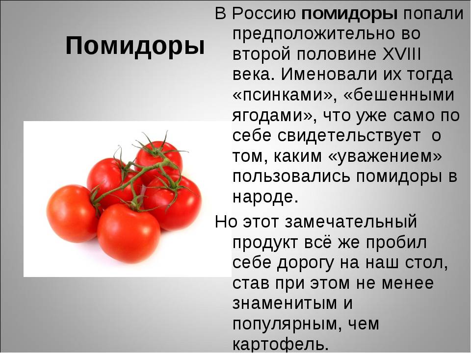 6 советов родителям по введению томатов в рацион малыша