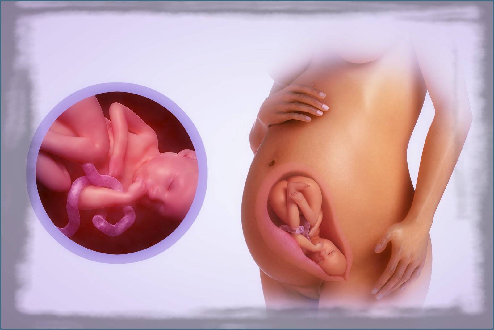 35 неделя беременности: роды, вес и рост ребенка, что происходит, шевеления