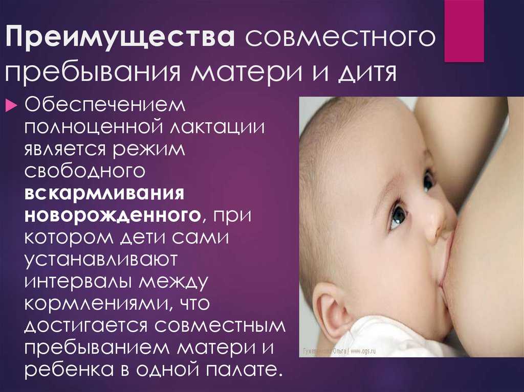 Кормление новорожденных в первые дни в роддоме, график, после кс