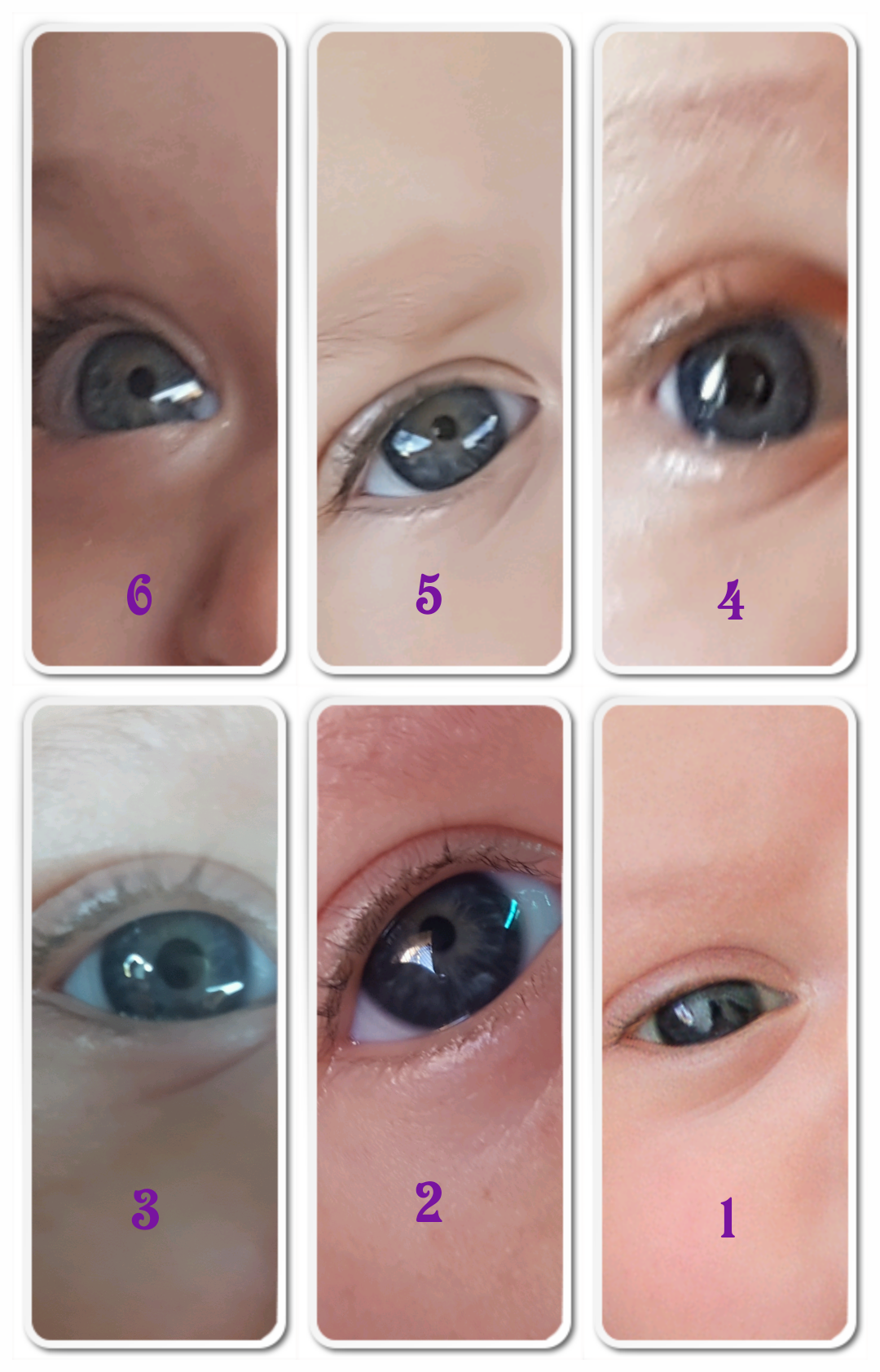 Цвет глаз. Цвет глаз младенца. Глаза у новорожденных. У ребенка меняется цвет глаз.