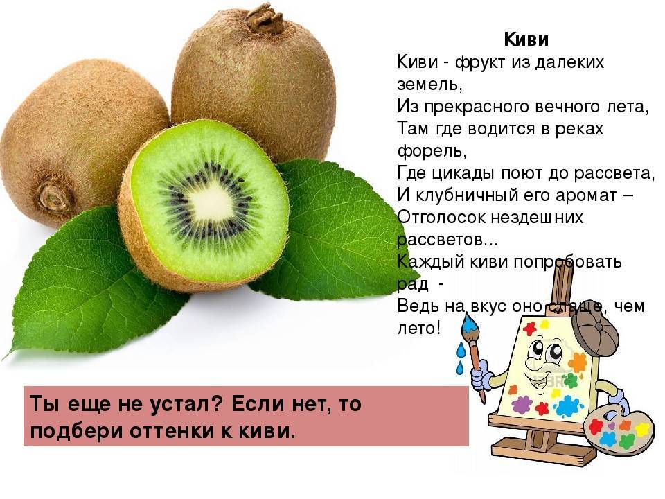 Киви 2 1. Сообщение о киви фрукт. Фрукты киви для детей. Загадка про киви. Стих про киви.