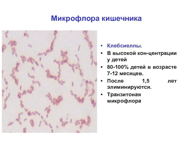 Дисбактериоз у младенцев - виды, симптомы, причины, методы лечения