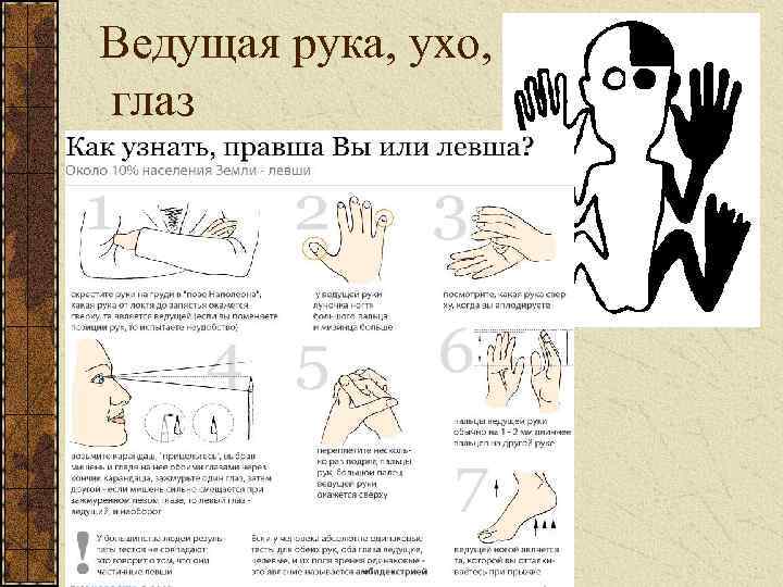 Когда можно определить левша или правша ребенок