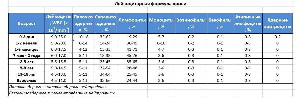 Повышены моноциты в крови у ребенка: о чем это говорит и что значит у детей, почему выше нормы и основные причины у новорожденных и грудничков