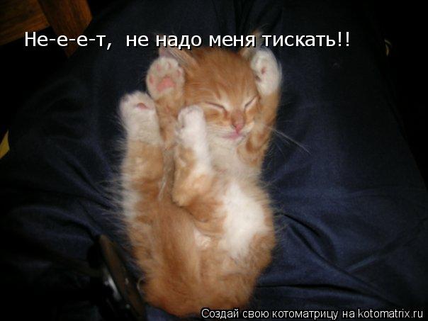Телячьи нежности: психолог назвала причины обнимать ребенка почаще | parents