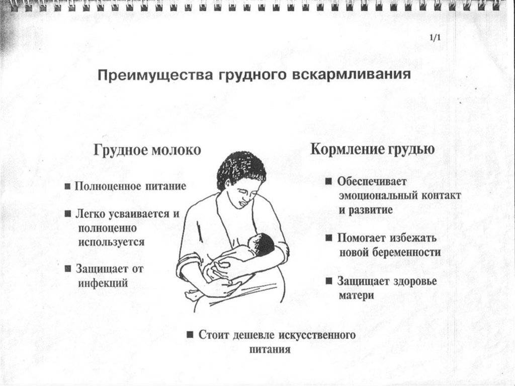 Правила кормления. Техника кормления грудного вскармливания алгоритм. Кормление грудью схема. Схема кормления ребенка грудным молоком. Правила кормления ребенка грудью.