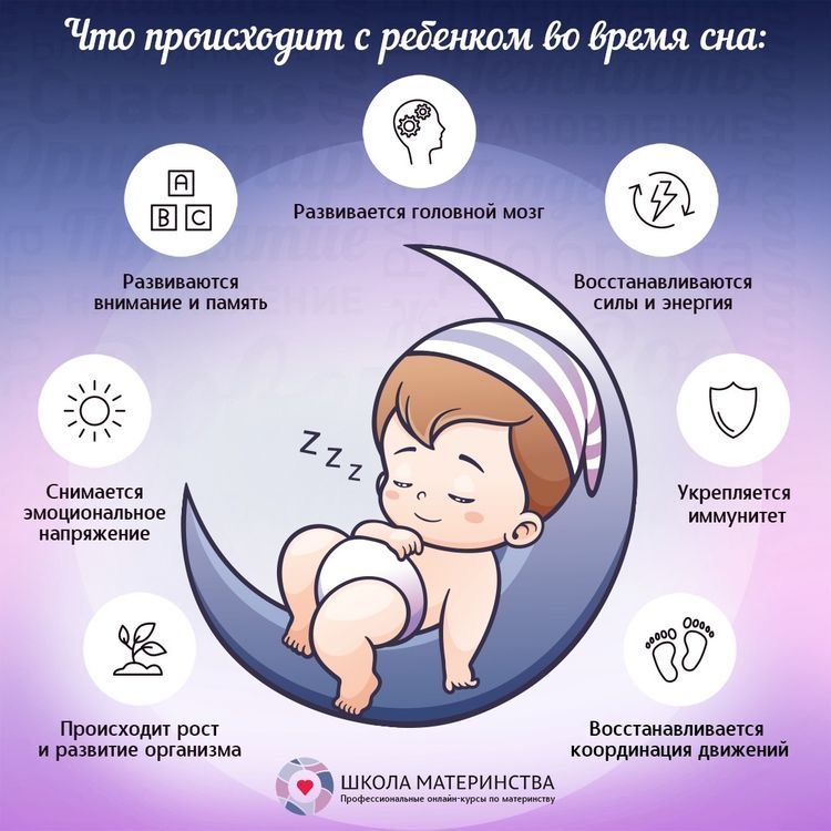 Дневной сон ребенка: сколько должно быть дневных снов у малыша