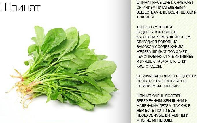 Шпинат при грудном вскармливании: польза и вред. блюда из шпината - новости, статьи и обзоры