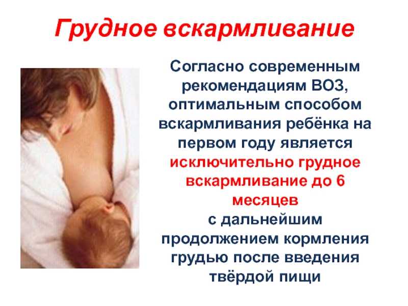 Грудное и искусственное вскармливание: нормы, полюсы и минусы