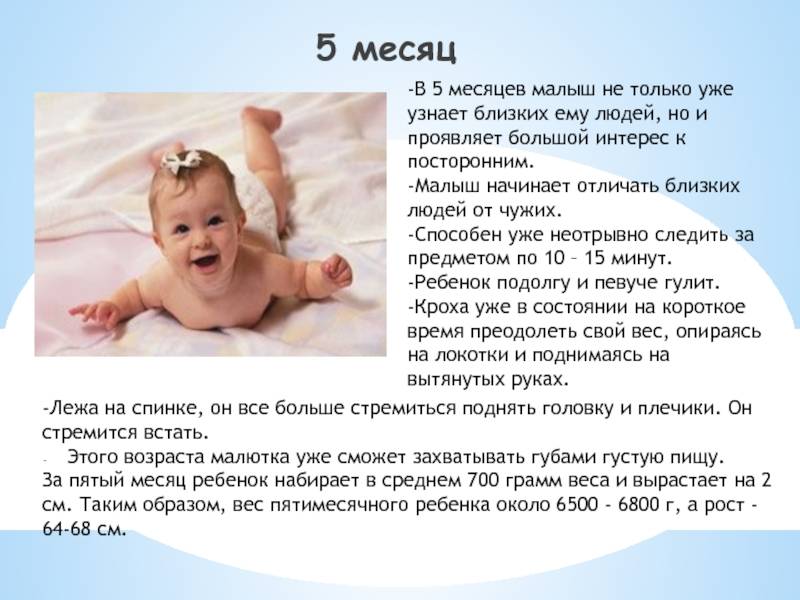 Ребенку 5 месяцев - автор екатерина данилова - журнал женское мнение