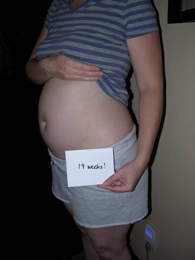 19 неделя беременности – живот, плод, ребенок, что происходит с малышом, сколько месяцев