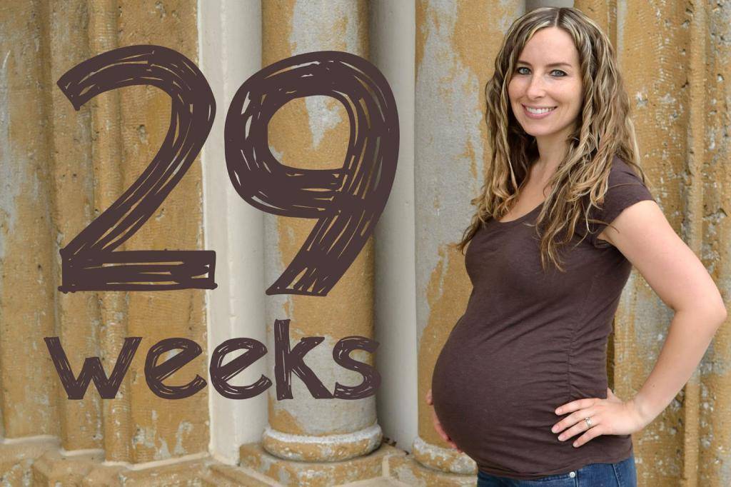 Двадцать девятая неделя беременности