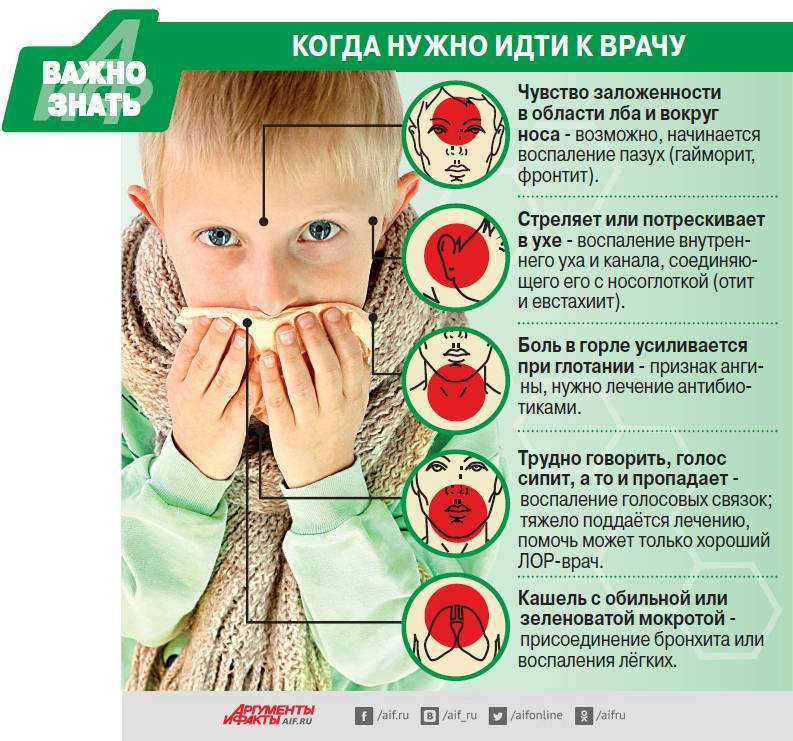 Бронхит у детей: симптомы и лечение - обструктивный бронхит у ребенка