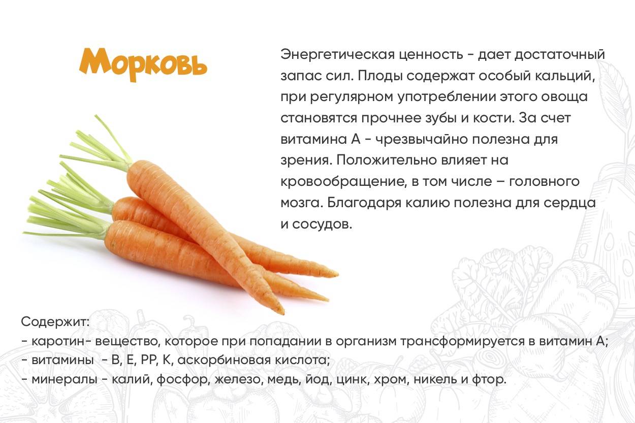 Когда и как правильно вводить морковь в прикорм грудничку? советы по приготовлению овоща ребенку