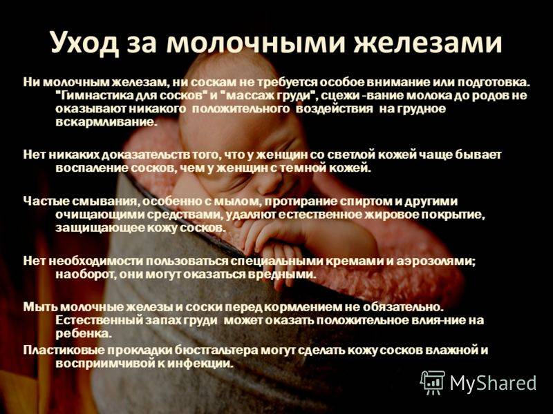Все о грудном вскармливании - мифы о грудном молоке - agulife.ru