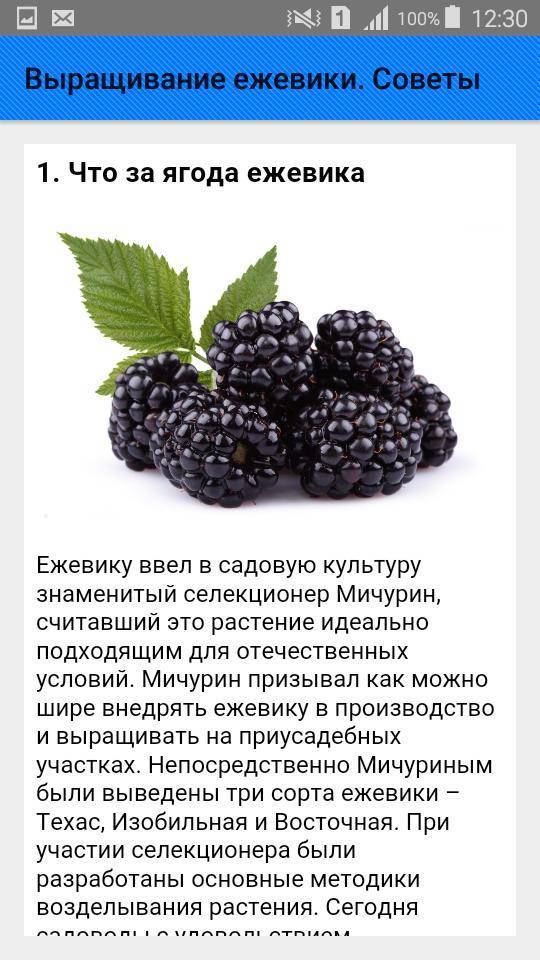 Молочные продукты детям до 1 года - питание малышам, ребенку после года
