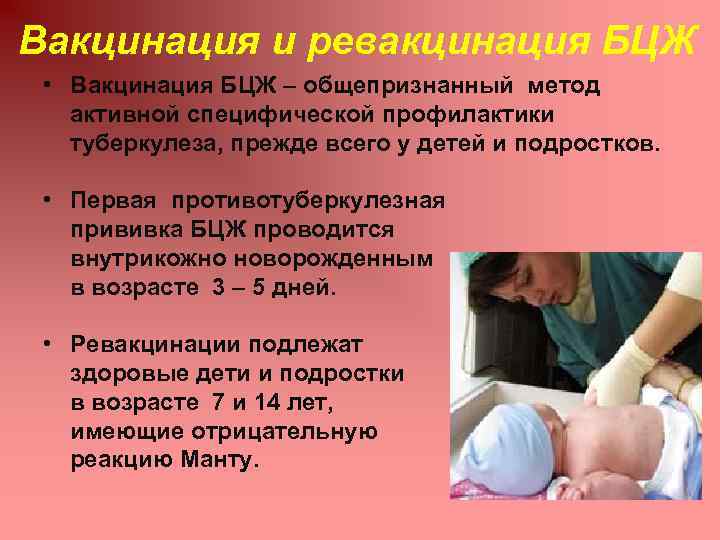 Прививка бцж у новорожденных детей особенности вакцинации | kvd9spb.ru