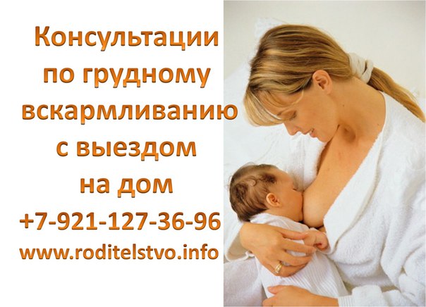 Выбираем накладки для грудного вскармливания: обзор популярных брендов, использование и уход, видео