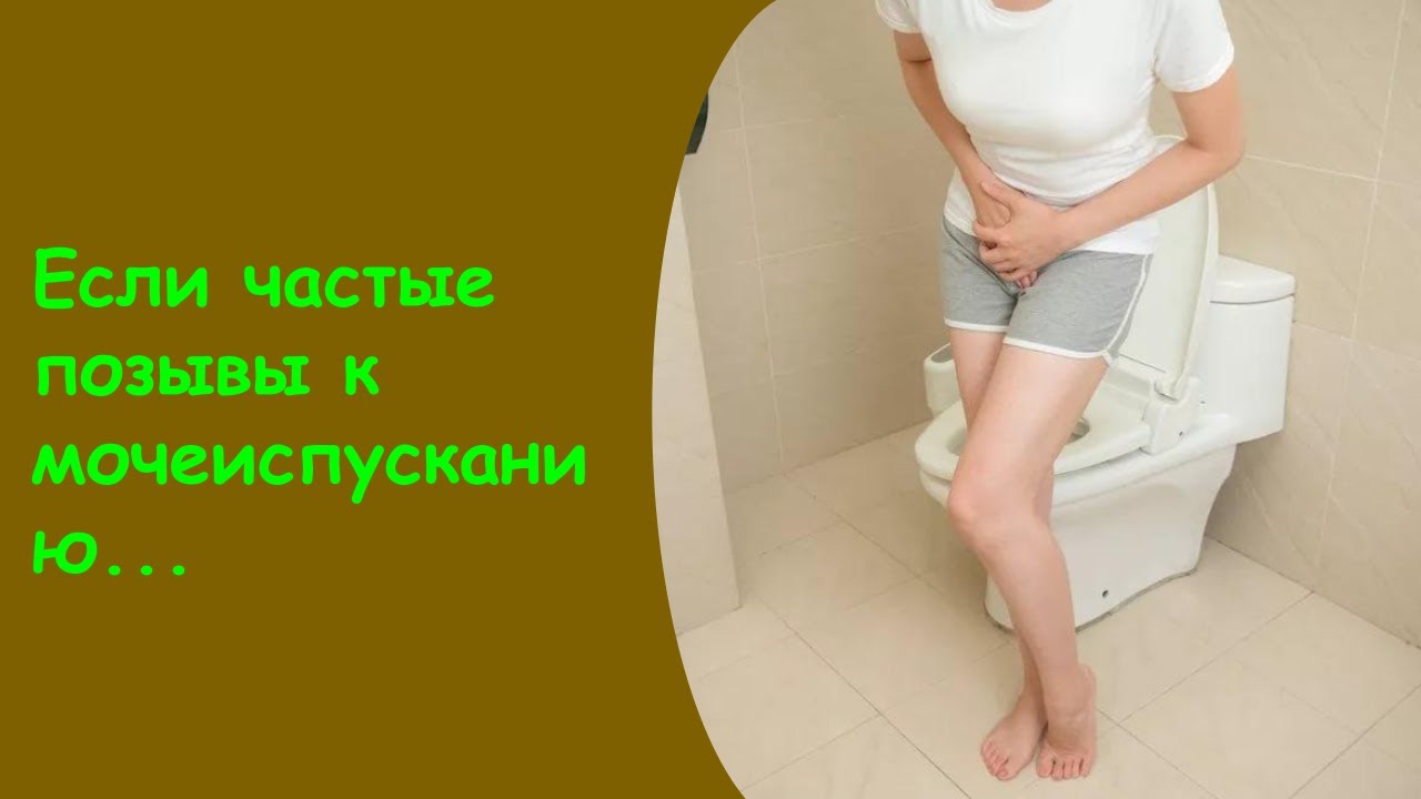 Почему малыш часто писает: сколько раз в день должны быть мочеиспускания у новорожденных и детей старше?
