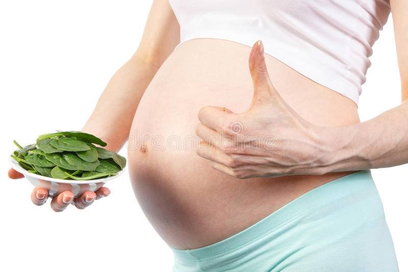 О полезных (и не очень) свойствах шпината для будущих мам