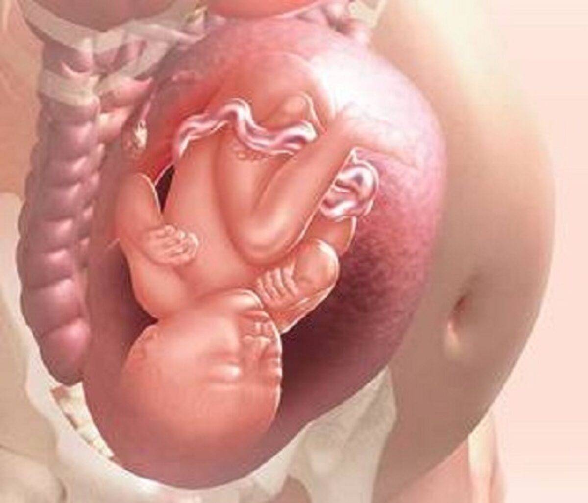 Фото ребенка в 32 недели в животе