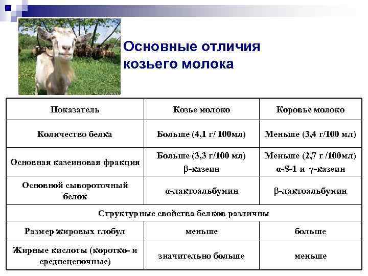 Полезно ли козье молоко детям с какого возраста можно давать