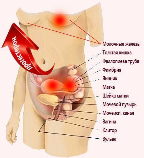 19 причин тазовых болей у женщин