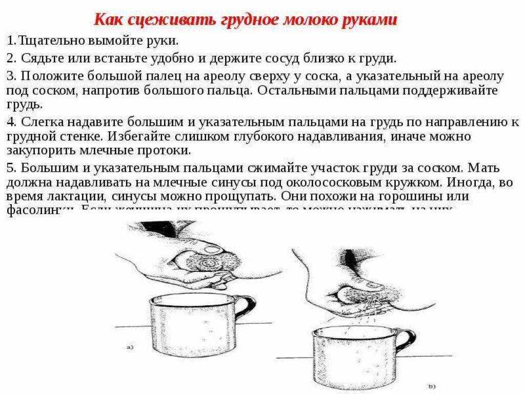 Как правильно сцеживать грудное молоко руками: инструкция