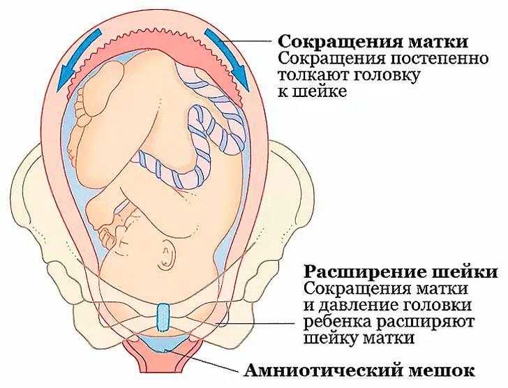 Болит матка - причины, диагностика и лечение