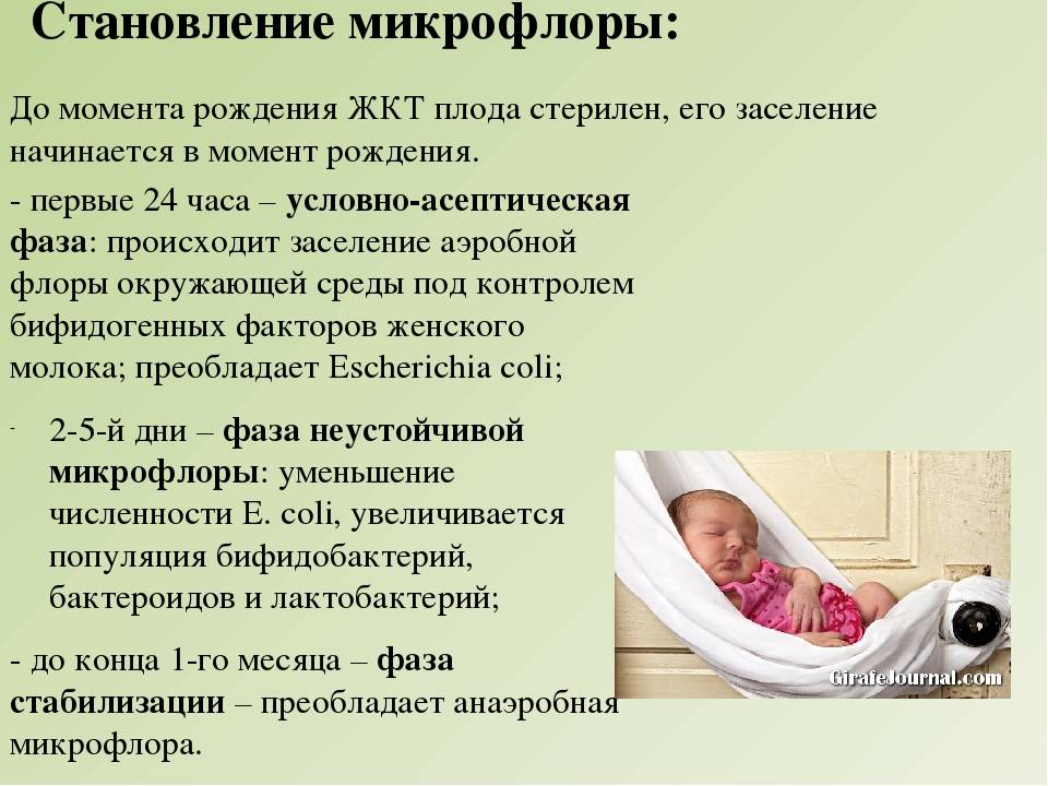 Микрофлора новорожденного. Становление кишечной микрофлоры у новорожденных. Формирование микрофлоры новорожденного. Формирование микрофлоры у новорожденных.