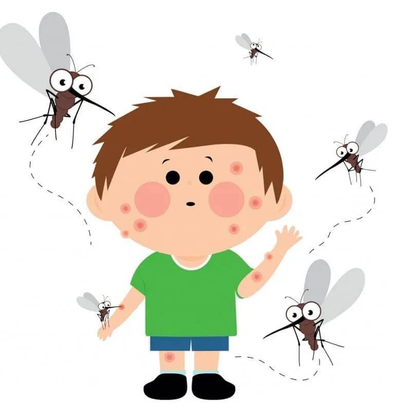 Ребенок боится мух и комаров советы психолога