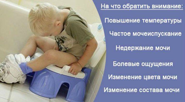 Частое мочеиспускание у детей: причины и способы лечения