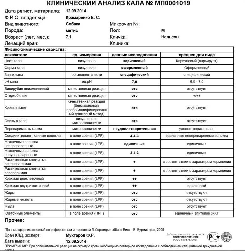 Копрограмма: расшифровка анализа кала у детей и взрослых …