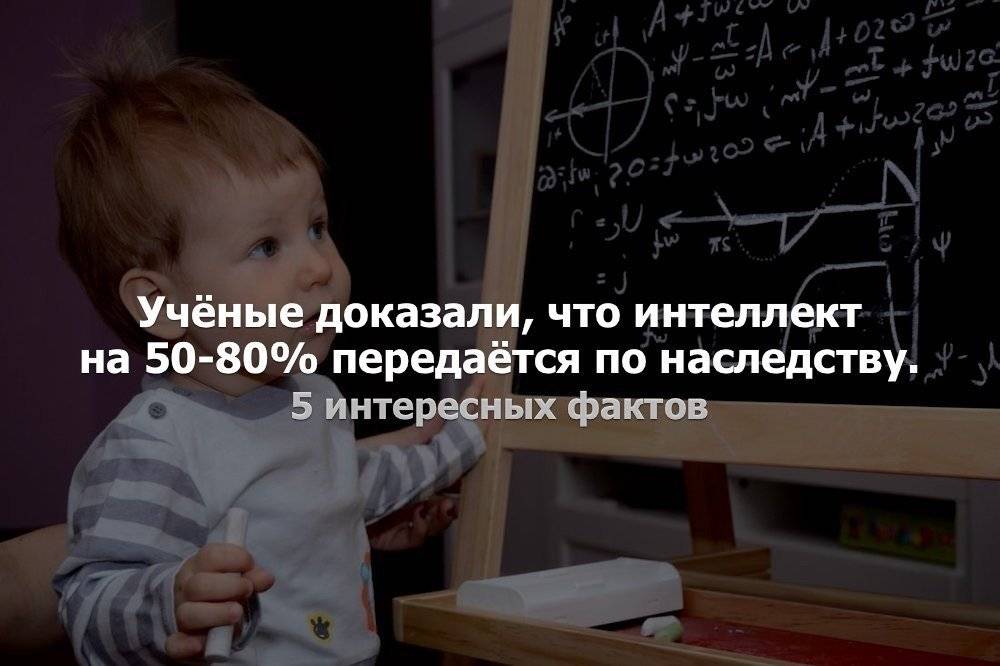 Загадка вундеркинда: передается ли интеллект по наследству?