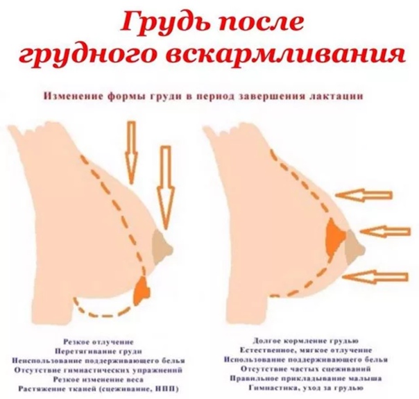 Правильный уход за грудью