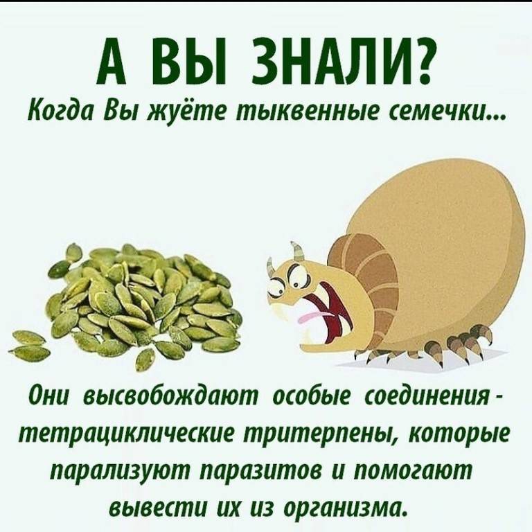 С какого возраста ребенку можно давать тыквенные семечки: правила и рекомендации
