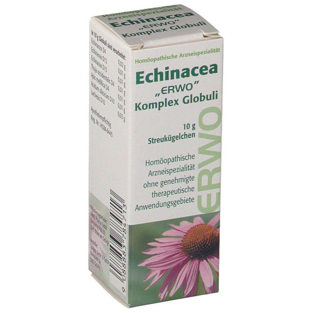 Эхинацея: вред, побочные эффекты, взаимодействие с препаратами