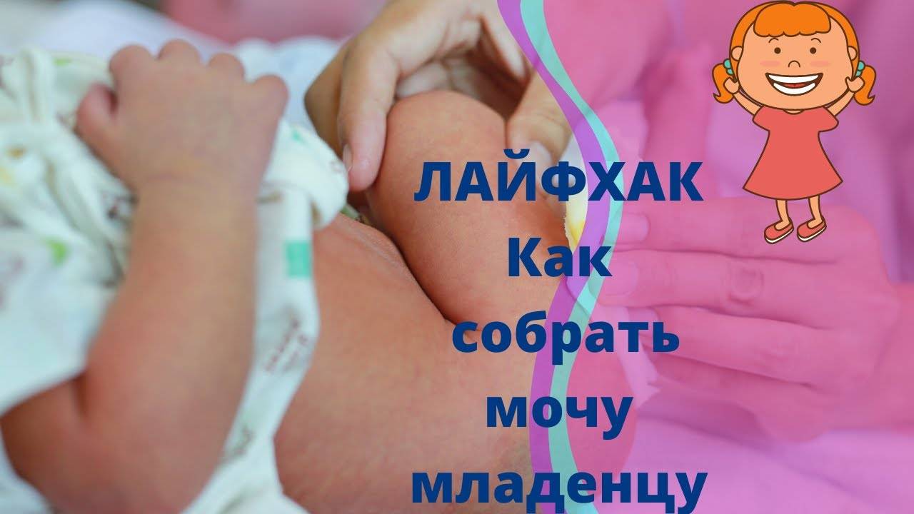 Здоровье ребенка от 2 до 6 месяцев - особенности здоровья ребенка в 2, 3, 4, 5 месяцев - agulife.ru