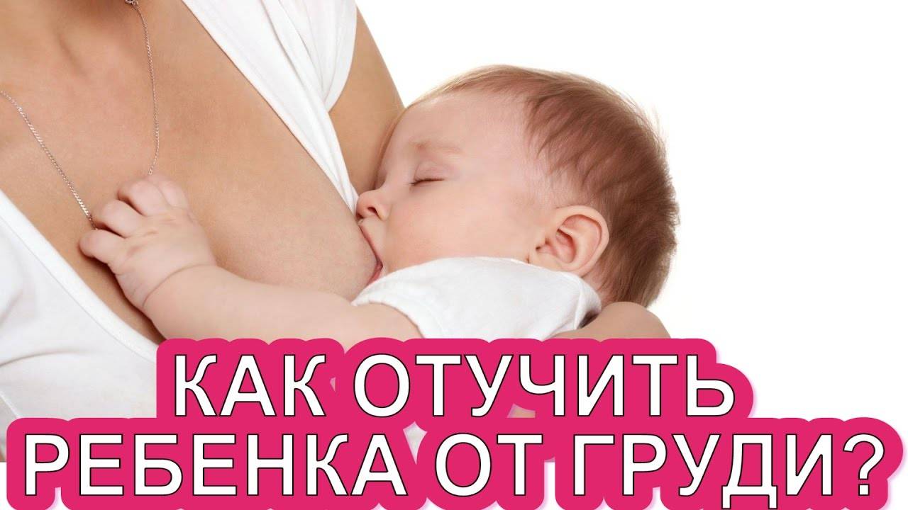 Как ребёнка отучить от грудного вскармливания в 1 год | мамадар