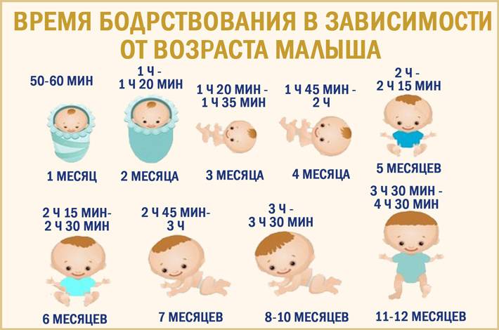 Плановые осмотры детей до года – таблица графика врачей
