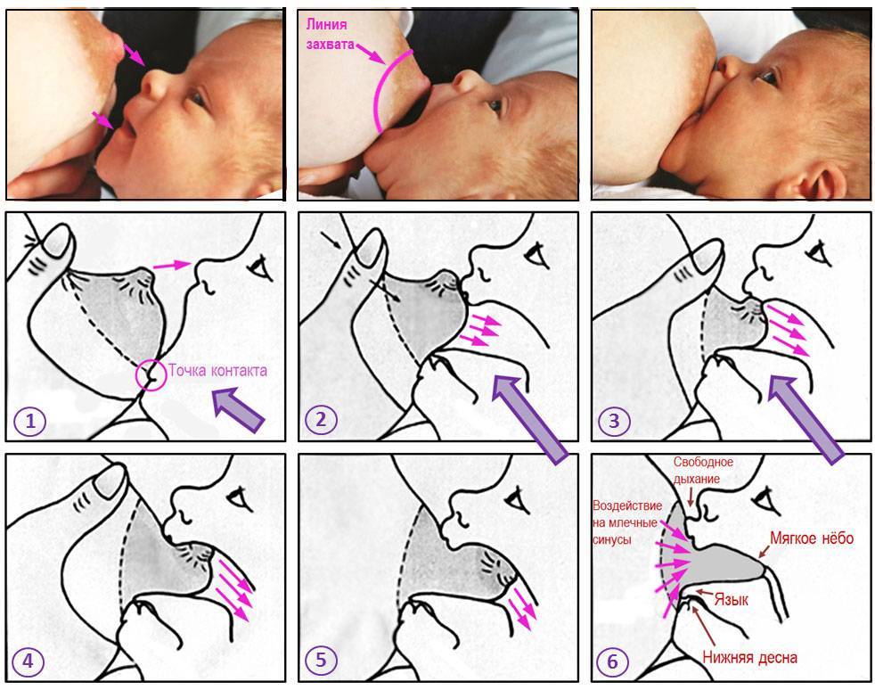 Ребенок кусает грудь во время кормления, что делать, если грудничок прокусил сосок
