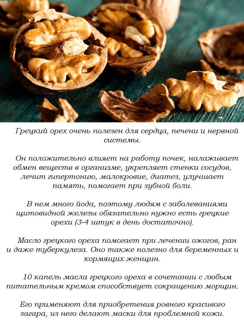 Грецкие орехи при грудном вскармливании - можно ли?